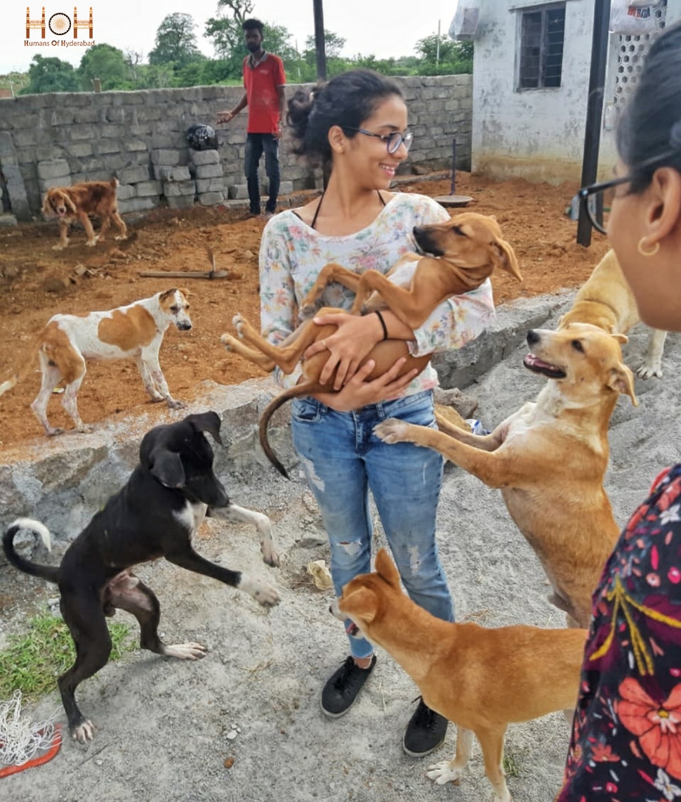Care for the strays – Humans Of Hyderabad